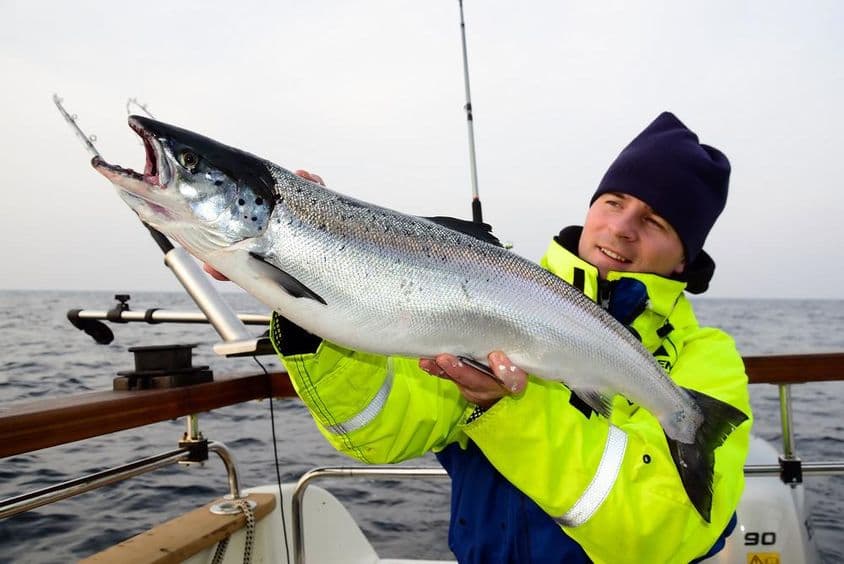 Meeresfischen, ein Fischer zeigt stolz einen großen Fang auf einem Boot.