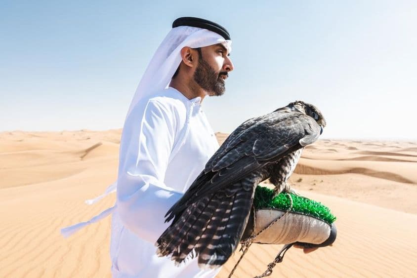 Ein emiratischer Jäger hält einen Falken auf seinem Arm in der Wüste.