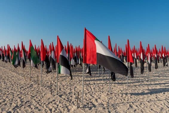 VAE-Flaggen am Strand gepflanzt.