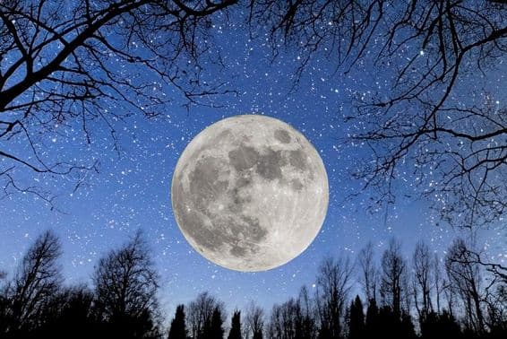 Vollmond in einem sternenklaren Himmel.