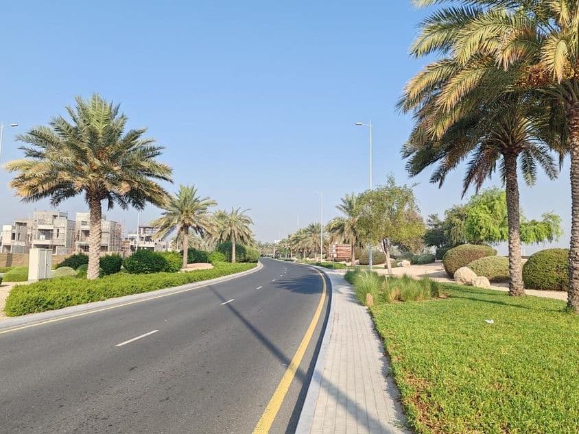 Dubai-Straße mit Palmen und grünem Gras.