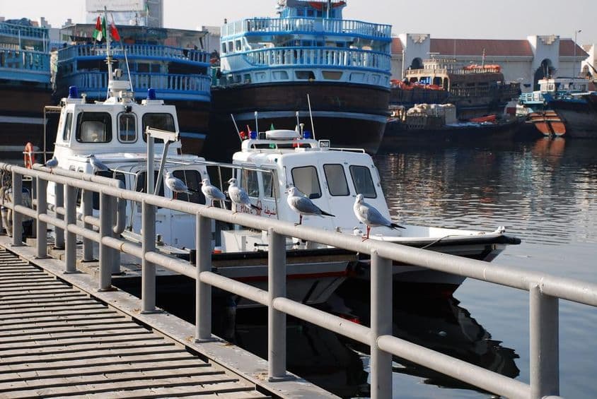 Dubai Polizei Boote.