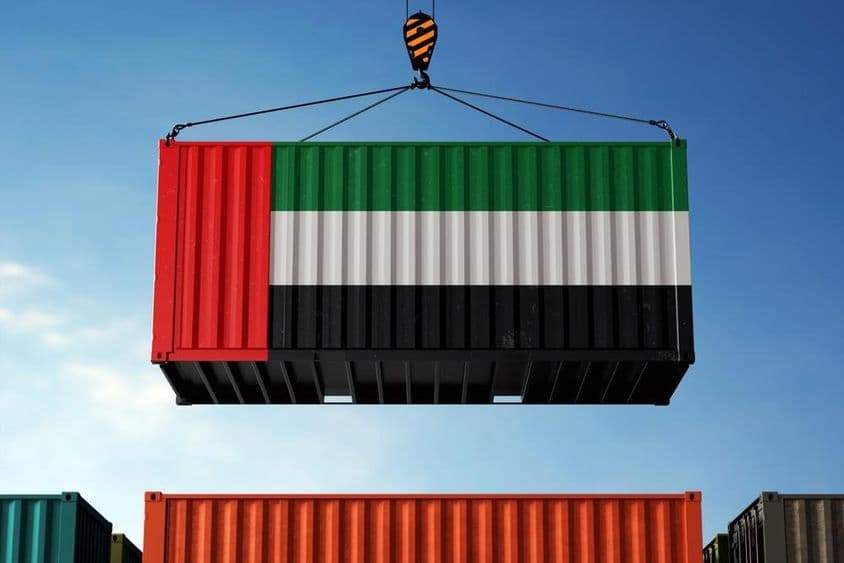 Ein Kran hebt einen Container in den Farben der VAE-Flagge.