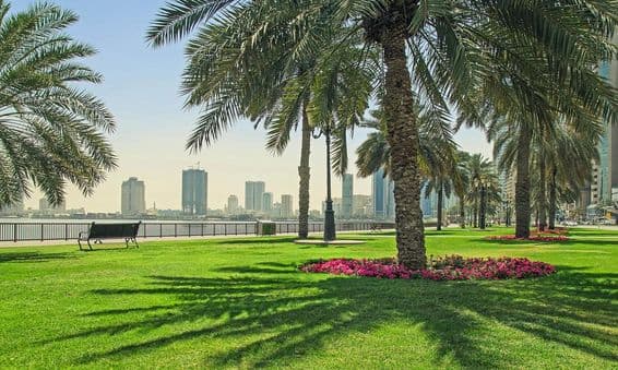 Grüner Rasen in der Nähe der Uferpromenade in Sharjah.