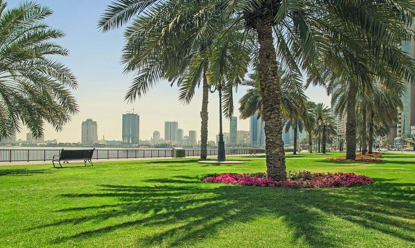 Grüner Rasen in der Nähe der Uferpromenade in Sharjah.