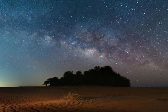 Nachtsterne füllen den Milchhimmel über der Oase in der Wüste.