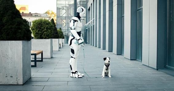 Ein KI-gesteuerter Roboter geht morgens mit einem Hund spazieren.