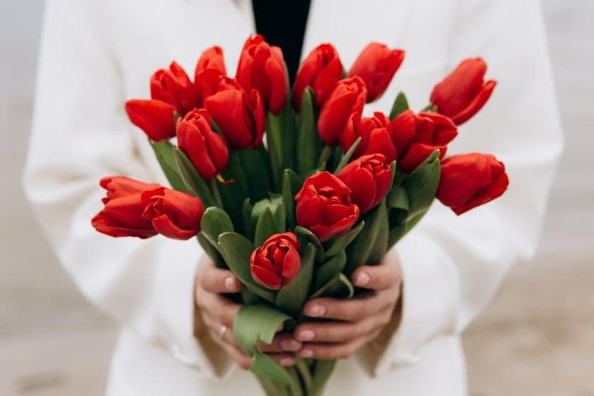 Ein Strauß roter Tulpenblumen.