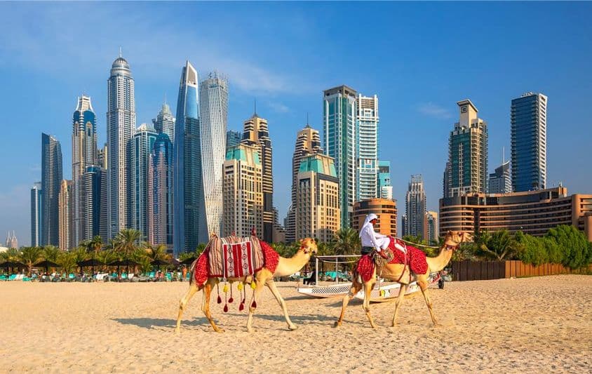 Ansicht von Dubai Marina, Kamele und der berühmte Jumeirah Beach in Dubai.