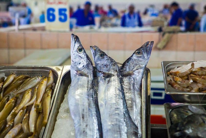 Abu Dhabi, Fischmarkt Garnelen auf Eis.
