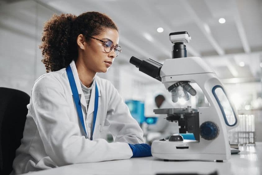 Wissenschaftlerstudien, Innovation und Biotechnologie, Stammzellforschung