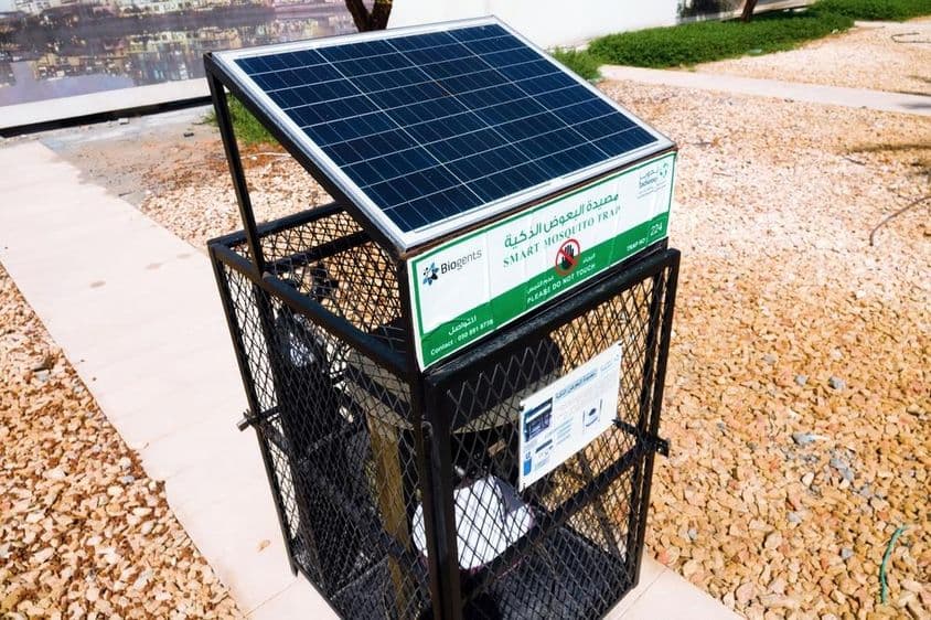 Abu Dhabi, Mückenvernichtungsgerät auf der Straße.