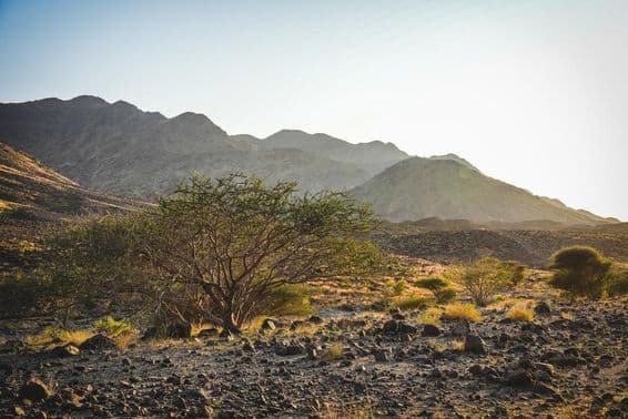 Das zerklüftete Gelände von Wadi Shawka in Ras Al Khaimah mit felsigen Wegen.