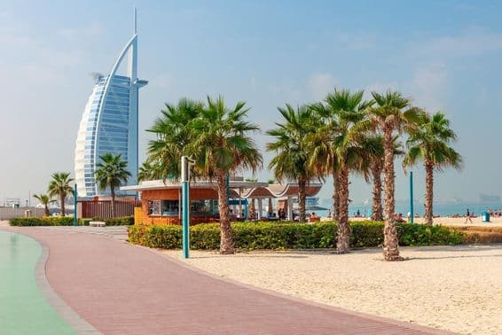 Schöner Strand mit Palmen in Dubai.