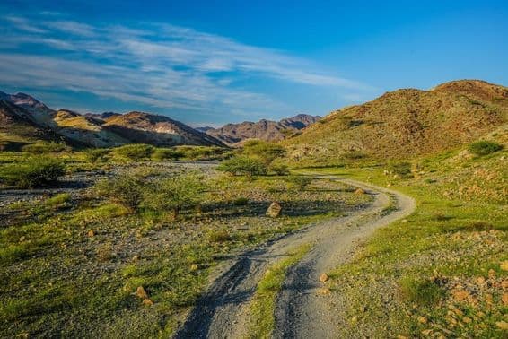 Grüne Berge in den Vereinigten Arabischen Emiraten.