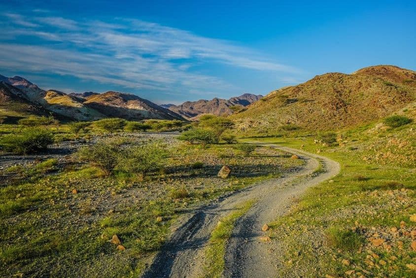 Grüne Berge in den Vereinigten Arabischen Emiraten.