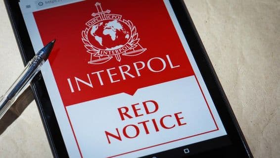 Der Interpol-Fahndungsaufruf auf einem Handybildschirm angezeigt.
