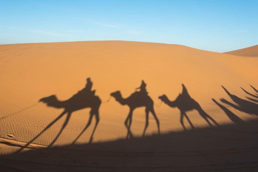 Der Schatten eines Kamels auf den Sanddünen der Sahara-Wüste.