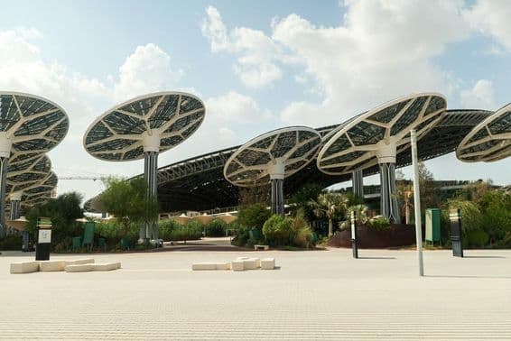 EXPO CITY DUBAI Solarmodule und hohe Strukturen in Form offener Pilze.