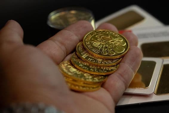 Echte österreichische Goldmünzen in der Hand halten.