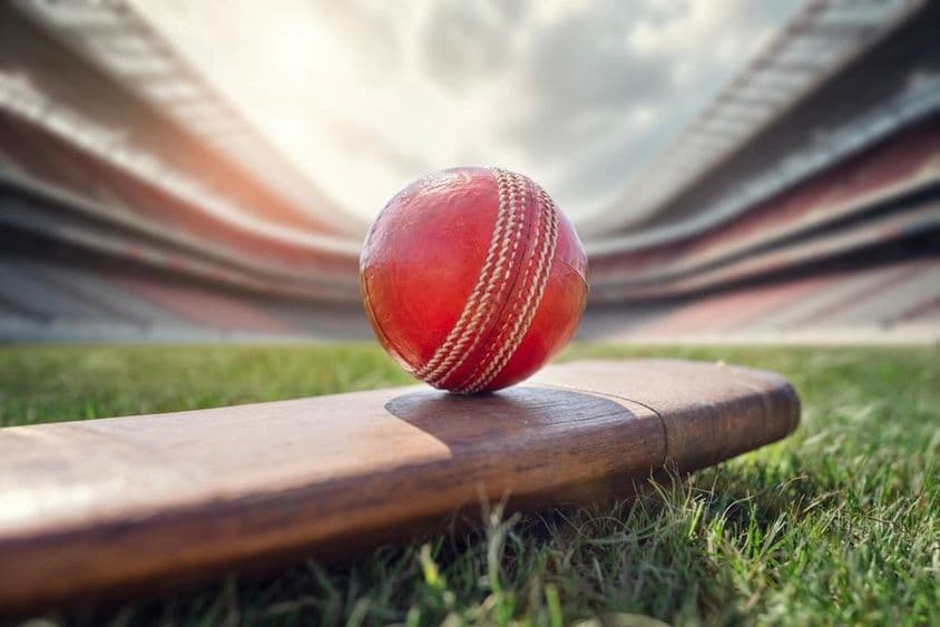 Cricketball auf einem alten hölzernen Cricket-Schläger.
