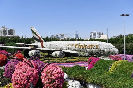 Dubai Miracle Garden bei Tag.