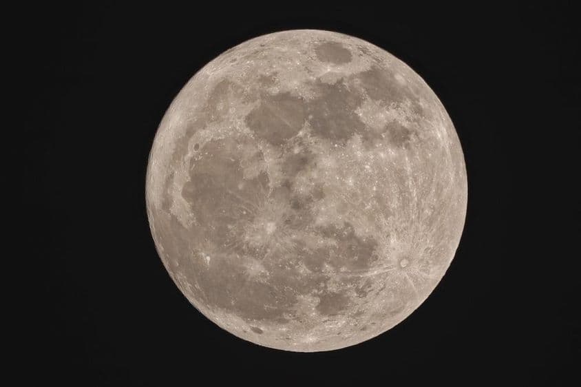 Der Supermond, rund erscheinend in der Nacht.