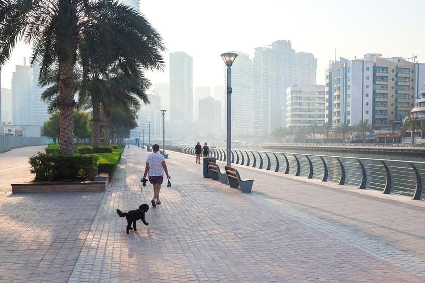 Eine Frau, die ihren Hund bei morgendlicher Sonne in der Stadt spazieren führt.