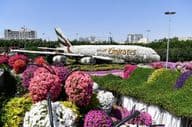 Dubai Miracle Garden bei Tag.