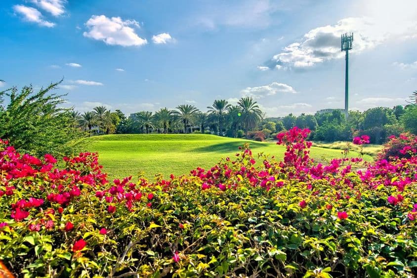 Schöner Morgen mit Blumen und einem Golfplatz in Dubai.