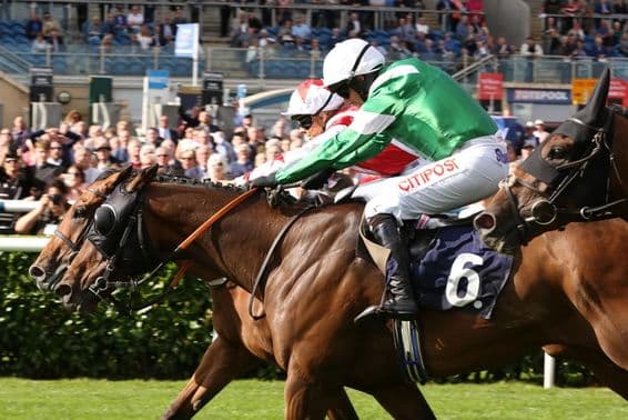 Legendäres Pferderennen, gewinnt gerade mit einer Nasenlänge.