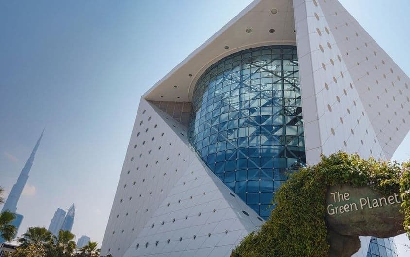 Ein einzigartiges Ökosystem auf einem grünen Planeten in Dubai.