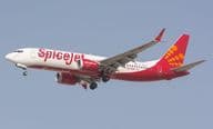 SpiceJet Airline Boeing 737 MAX Flugzeug.