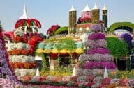 Dubai Miracle Garden gefüllt mit Märchenschlössern und über 45 Millionen Blumen.