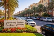 Parksystem in Discovery Gardens