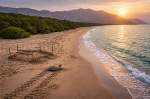 Das geschützte Juwel des Kalba-Strandes