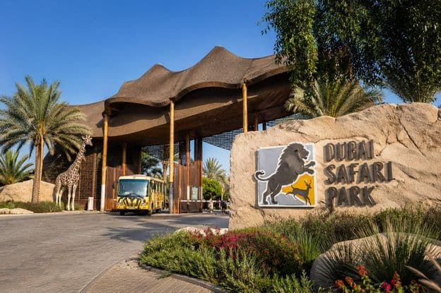 Eingang zum Dubai Safari Park