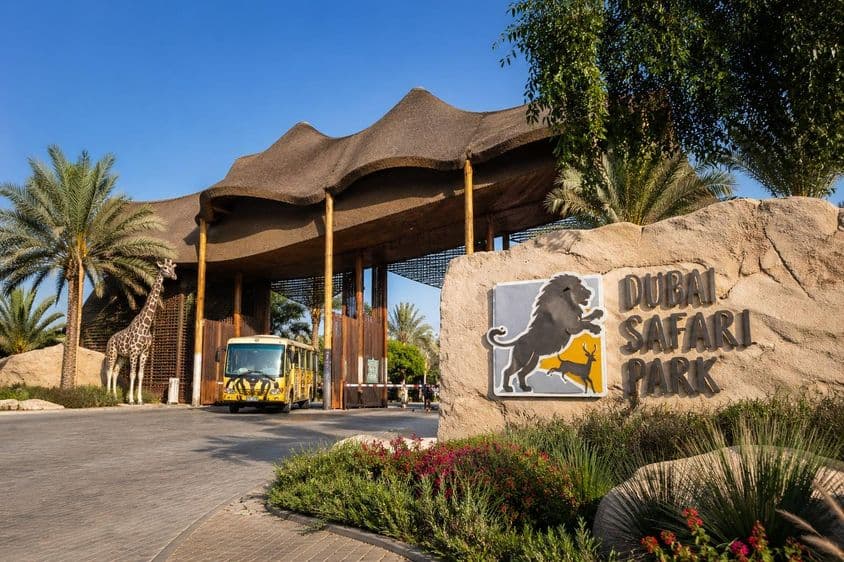 Eingang zum Dubai Safari Park