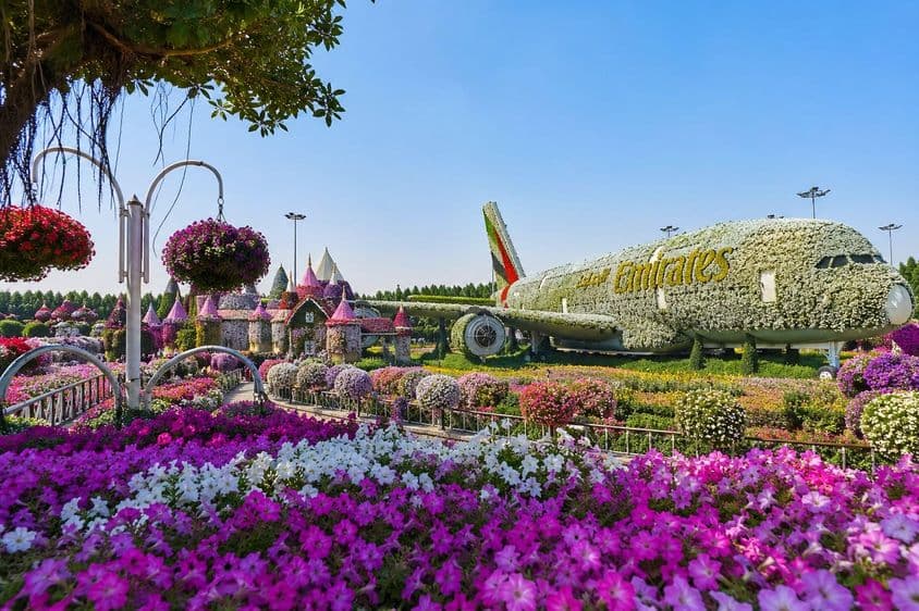 Blumenbedeckter Flugzeugtraum