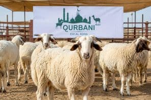 Qurbani Vorbereitungen in Dubai
